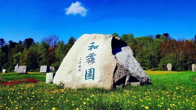 可爱宝宝大作战